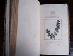 1816 The Class And Orders Of The Linnaean System Of Botany. First Edition. - Harrington Antiques