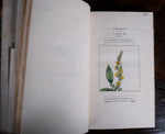 1816 The Class And Orders Of The Linnaean System Of Botany. First Edition. - Harrington Antiques