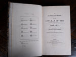 1816 The Class And Orders Of The Linnaean System Of Botany. First Edition. - Harrington Antiques