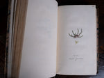 1816 The Class And Orders Of The Linnaean System Of Botany. First Edition. - Harrington Antiques