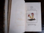 1816 The Class And Orders Of The Linnaean System Of Botany. First Edition. - Harrington Antiques