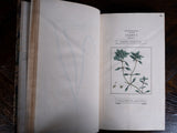 1816 The Class And Orders Of The Linnaean System Of Botany. First Edition. - Harrington Antiques