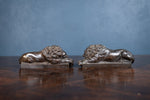 19th Century Bronze Lions After Anthony Canova - Harrington Antiques