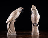 Carved Alabaster Parrot & Cockatoo, c.1920