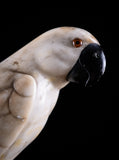 Carved Alabaster Parrot & Cockatoo, c.1920