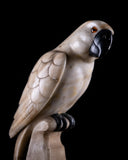 Carved Alabaster Parrot & Cockatoo, c.1920