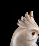 Carved Alabaster Parrot & Cockatoo, c.1920
