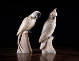 Carved Alabaster Parrot & Cockatoo, c.1920