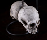 18th Century Carved Skulls Of The Damned
