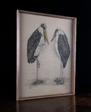 Bernard Sluijterman (fl. 1930s) - Pair Of Marabou Storks Lithograph - Harrington Antiques