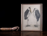 Bernard Sluijterman (fl. 1930s) - Pair Of Marabou Storks Lithograph - Harrington Antiques