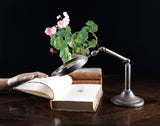 Large Brass Angle - Poise Library Magnifying Glass, c.1910 - Harrington Antiques
