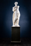 Large Plaster Composition Of A Classical Maiden With Plinth, c.1900 - Harrington Antiques