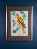 Pair of Naive Pen & Ink Birds of Paradise - Harrington Antiques