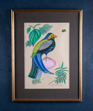 Pair of Naive Pen & Ink Birds of Paradise - Harrington Antiques