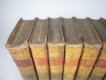 1778 The Plays Of William Shakespeare In 10 Volumes, Notes by Johnson & Steevens - Harrington Antiques
