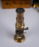 19th Century Brass Field Microscope & Lenses - Harrington Antiques