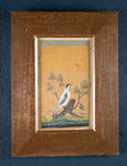 19th Century Mughal School - Bird And Tree. Signed. - Harrington Antiques