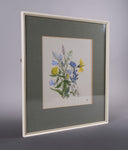 Barbara Watson (fl. 1956) - Still Life of Wild Flowers. Gouache. - Harrington Antiques