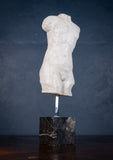 Classical Male Torso Plaster Cast On Marble Base - Harrington Antiques