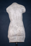 Classical Male Torso Plaster Cast On Marble Base - Harrington Antiques