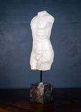 Classical Male Torso Plaster Cast On Marble Base - Harrington Antiques