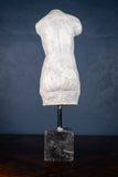 Classical Male Torso Plaster Cast On Marble Base - Harrington Antiques