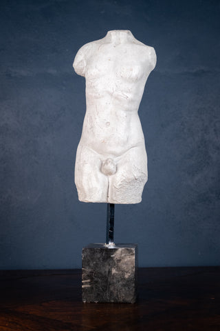 Classical Male Torso Plaster Cast On Marble Base - Harrington Antiques