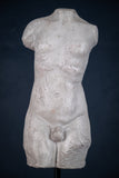 Classical Male Torso Plaster Cast On Marble Base - Harrington Antiques