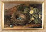 Fanny Wycliffe Goodwin (fl.1840-1850) - Bird's Nest & Primrose. Oil On Board. - Harrington Antiques