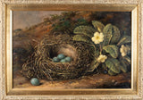 Fanny Wycliffe Goodwin (fl.1840-1850) - Bird's Nest & Primrose. Oil On Board. - Harrington Antiques