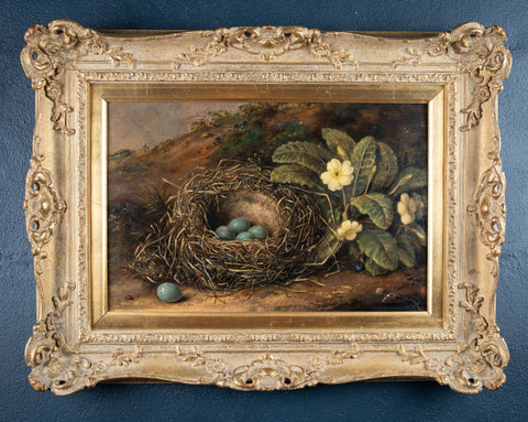 Fanny Wycliffe Goodwin (fl.1840-1850) - Bird's Nest & Primrose. Oil On Board. - Harrington Antiques