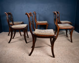 Six Regency Mahogany & Caned Dining Chairs In The Manner Of Gillows. - Harrington Antiques