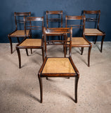 Six Regency Mahogany & Caned Dining Chairs In The Manner Of Gillows. - Harrington Antiques