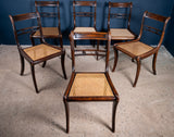 Six Regency Mahogany & Caned Dining Chairs In The Manner Of Gillows. - Harrington Antiques