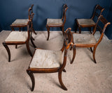 Six Regency Mahogany & Caned Dining Chairs In The Manner Of Gillows. - Harrington Antiques