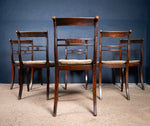 Six Regency Mahogany & Caned Dining Chairs In The Manner Of Gillows. - Harrington Antiques