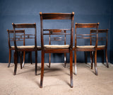 Six Regency Mahogany & Caned Dining Chairs In The Manner Of Gillows. - Harrington Antiques