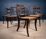 Six Regency Mahogany & Caned Dining Chairs In The Manner Of Gillows. - Harrington Antiques